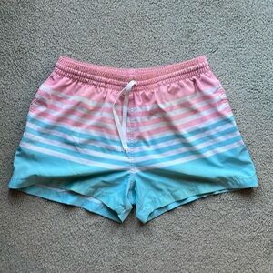 Chubbies Lined Swim Shorts